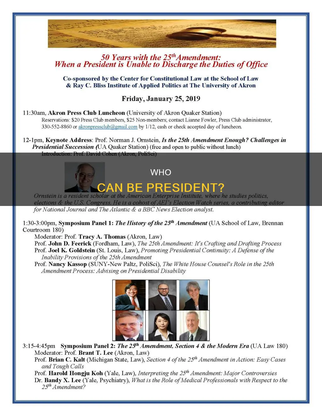 what constitutional amendment states that a sitting president