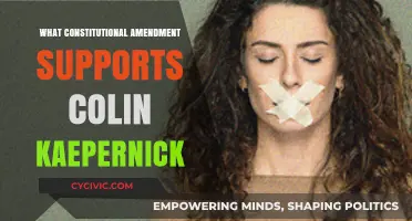 The First Amendment: Kaepernick's Constitutional Right to Protest