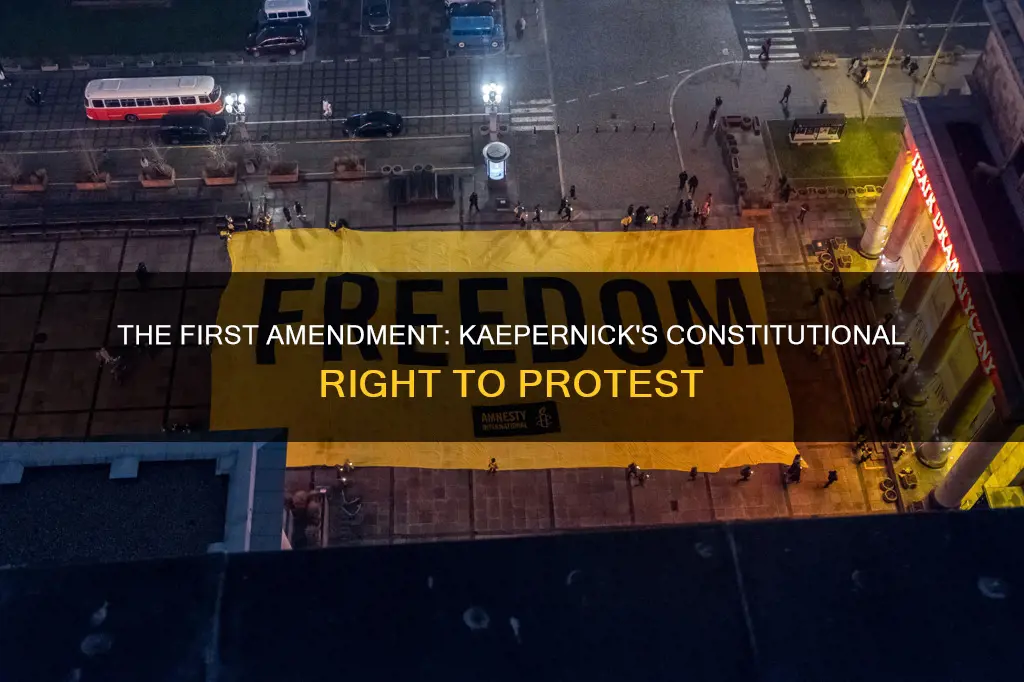 what constitutional amendment supports colin kaepernick