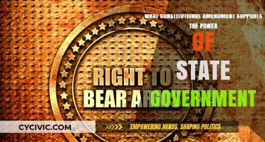 The States' Rights: The 10th Amendment Explained