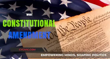 Amendments: Understanding Our Constitutional Rights and Freedoms