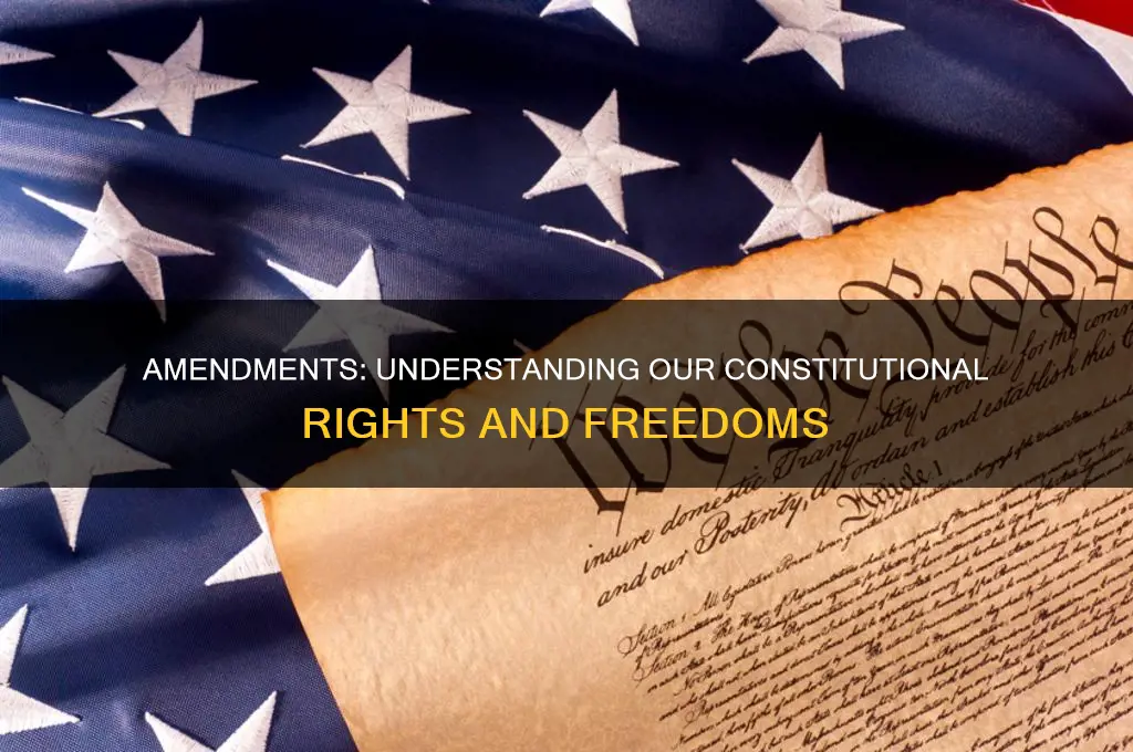 what constitutional amendment