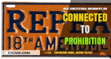 Prohibition Amendments: Constitutional Changes and Their Impact