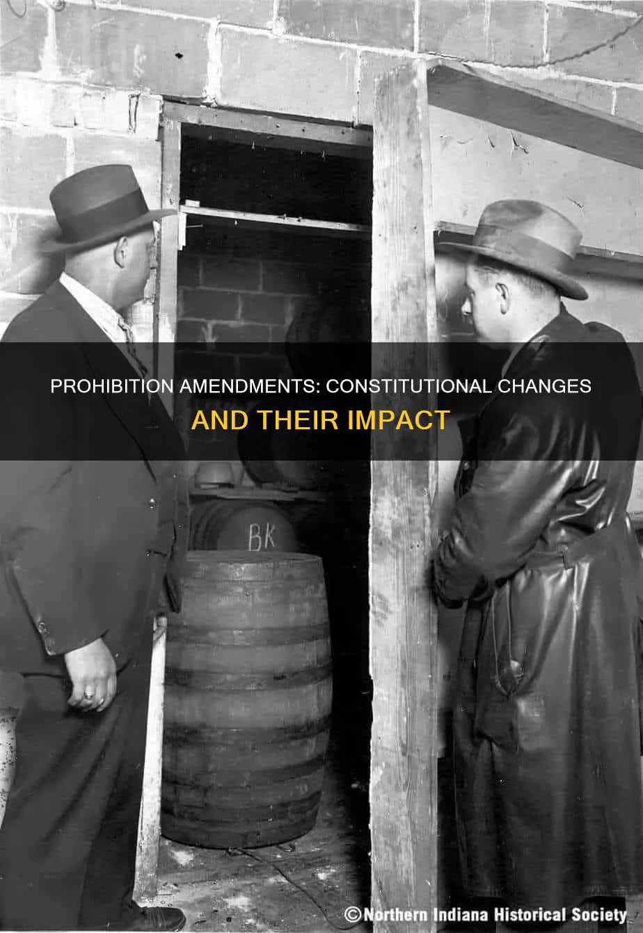 what constitutional amendments are connected to prohibition