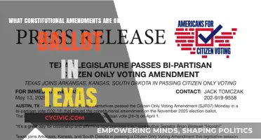 Texas Ballot Amendments: What's Changing in Our Constitution?