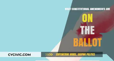 Amendments on the Ballot: Understanding Your Vote's Impact