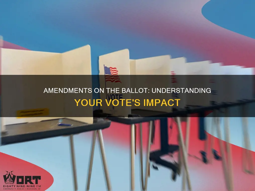 what constitutional amendments are on the ballot