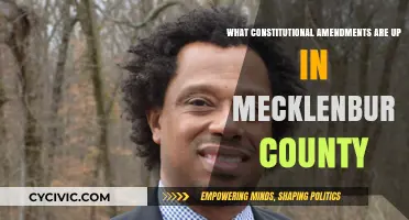 Mecklenburg County's Constitutional Amendments: What's Up for Vote?