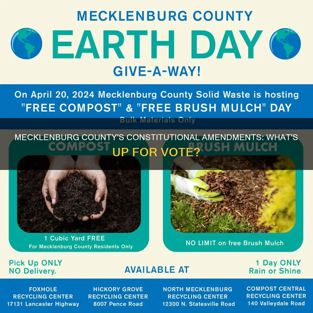 what constitutional amendments are up in mecklenburg county