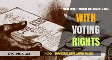 Amendments that Empower: Voting Rights in Focus