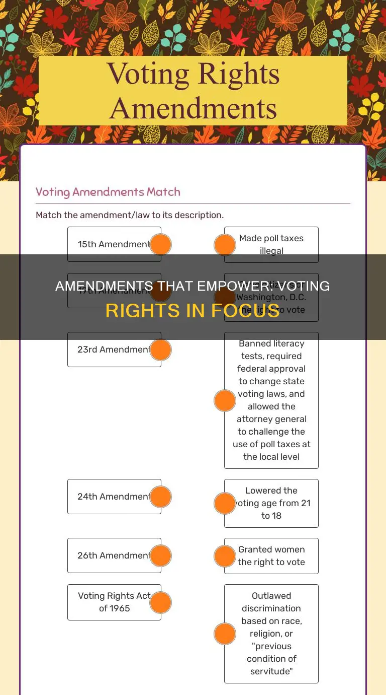 what constitutional amendments deal with voting rights