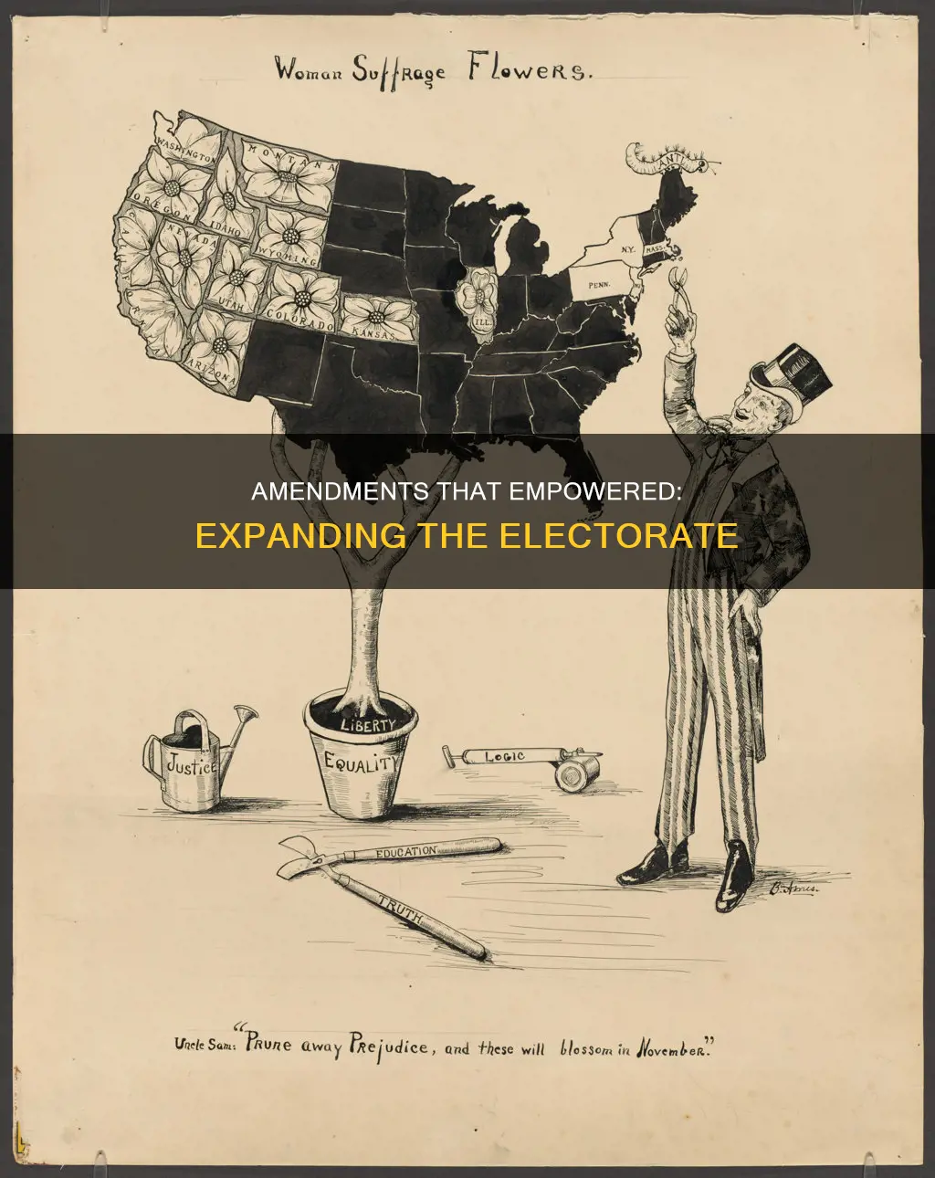 what constitutional amendments expanded the electorate