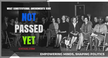 Amendments That Never Made the Cut