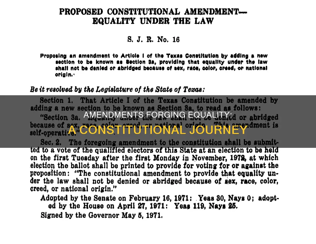 what constitutional amendments led towards an equality of life
