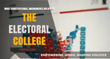 Exploring the Electoral College via Constitutional Amendments