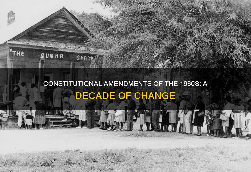 what constitutional amendments were created in the 60s
