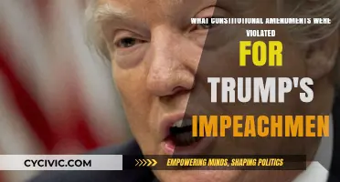 Trump's Impeachment: Constitutional Amendments Violated