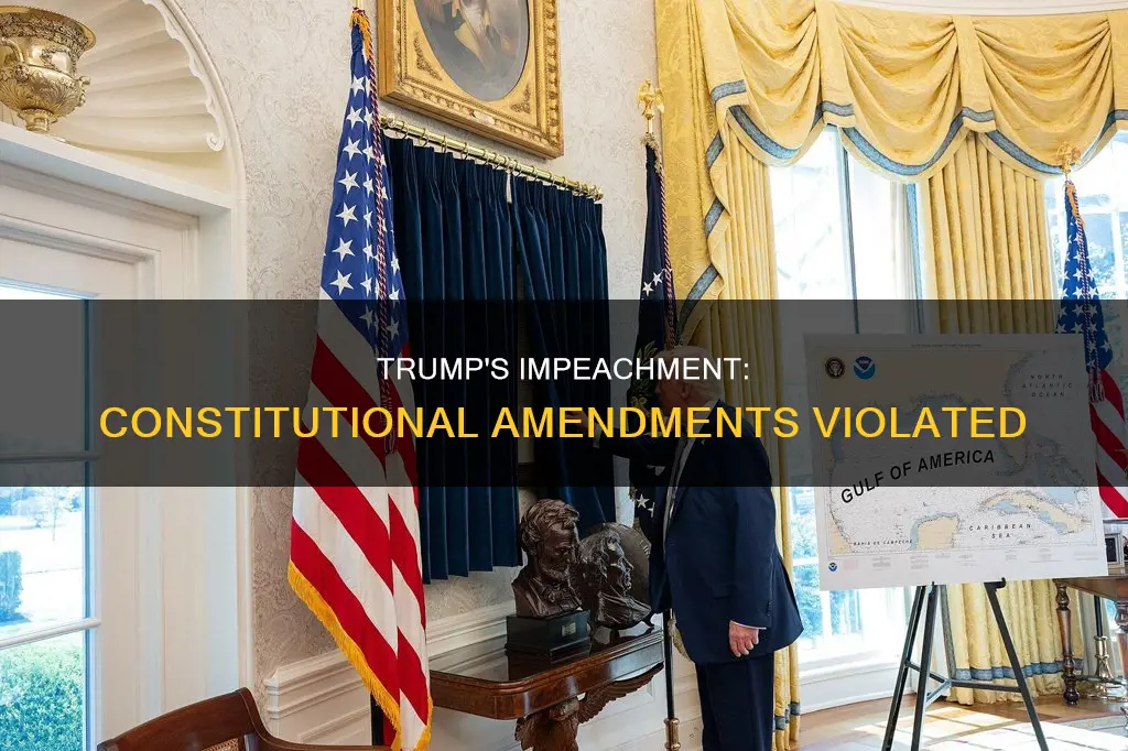 what constitutional amendments were violated for trump