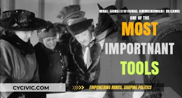 The Power of Constitutional Amendments: A Vital Tool