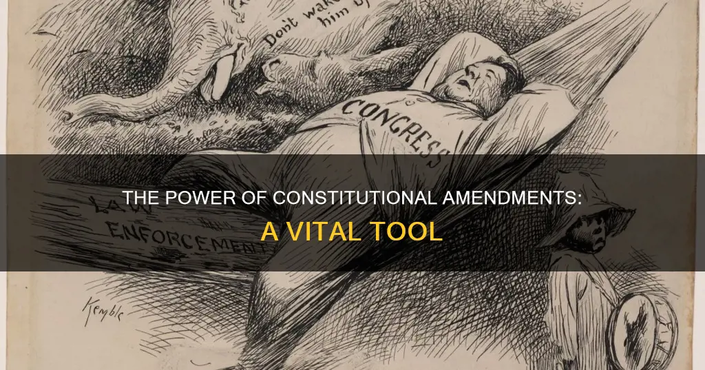 what constitutional ammendment became one of the most importnant tools