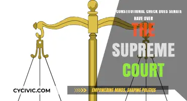 Senate's Constitutional Duty: Supreme Court Checks and Balances