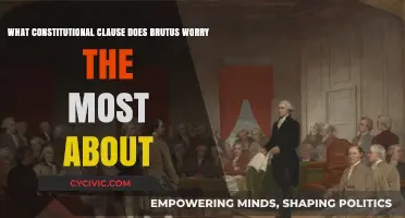 Brutus' Constitutional Concern: The Federal Clause