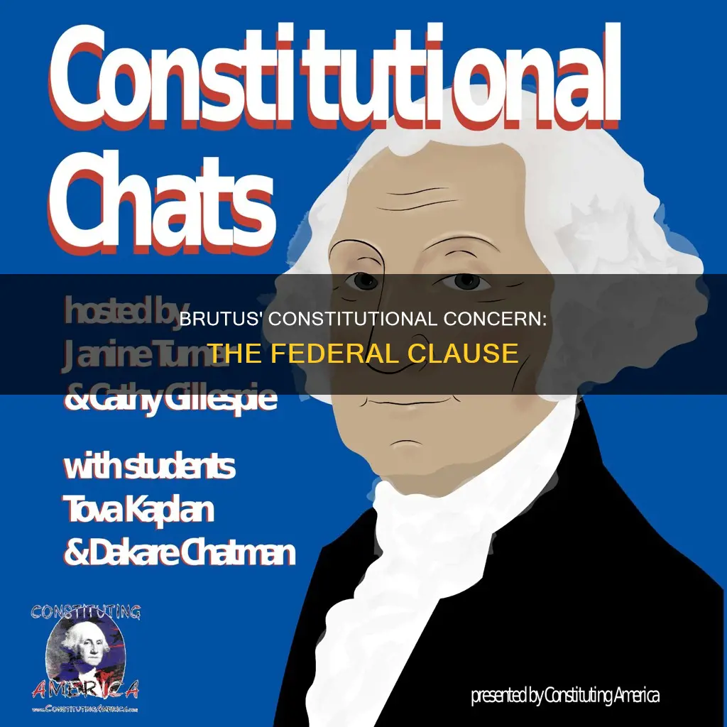 what constitutional clause does brutus worry the most about
