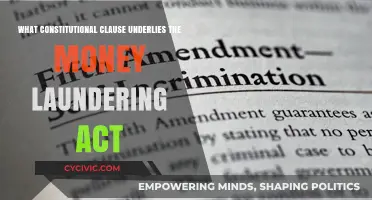 Money Laundering Act: Constitutional Basis Explained