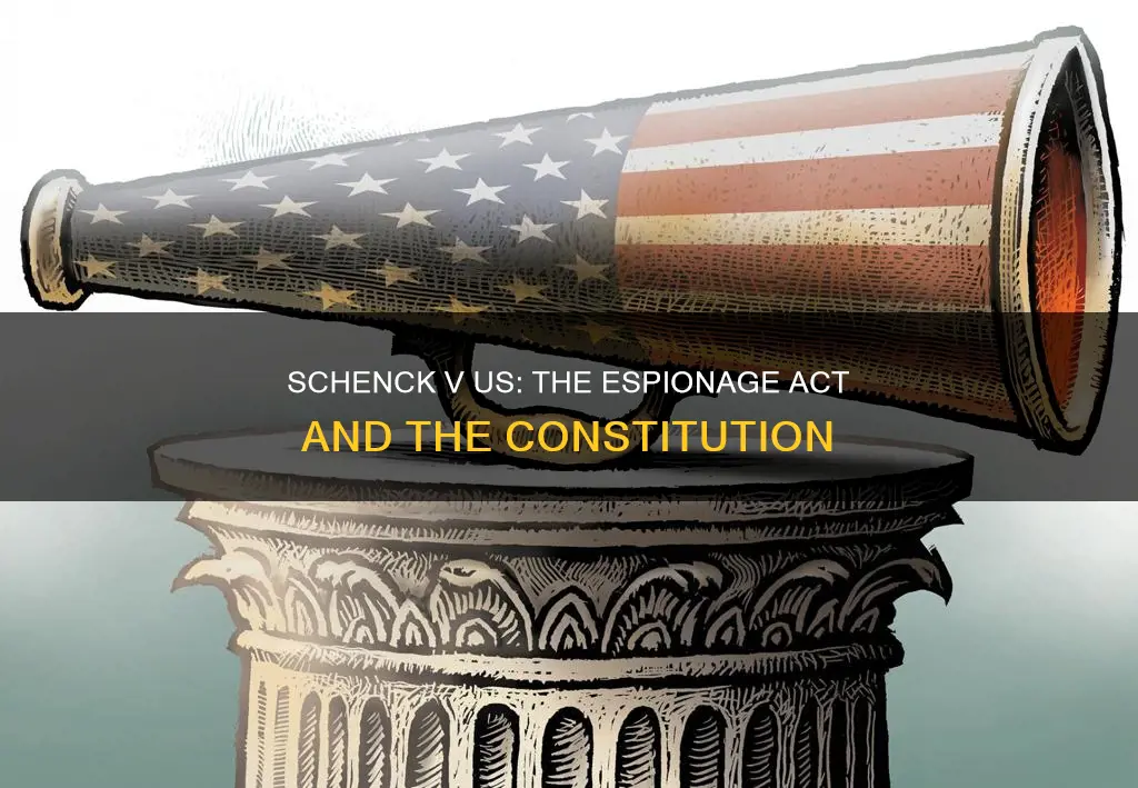 what constitutional clause was used in schenck v us