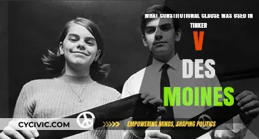 Tinker v Des Moines: Freedom of Speech and Expression