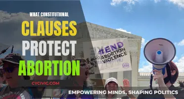 Constitutional Clauses: Abortion Rights Protection and the Law