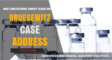 Bruesewitz Case: Constitutional Clause Addressed