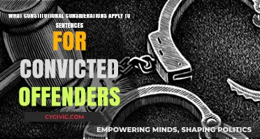 Constitutional Rights: Sentencing for Convicted Criminals