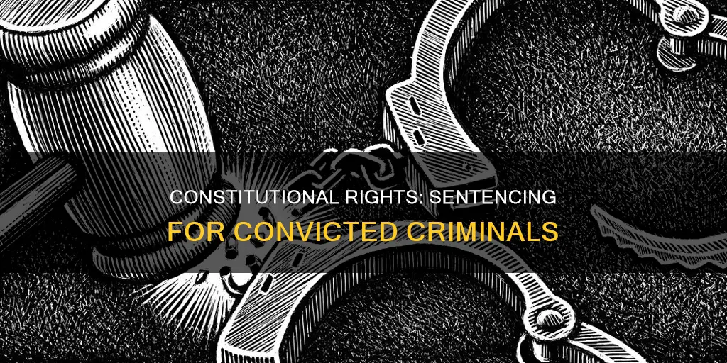 what constitutional considerations apply to sentences for convicted offenders