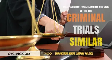 Civil vs Criminal: Constitutional Similarities