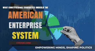 Enterprise Freedoms: Constitutional Guarantees for American Businesses