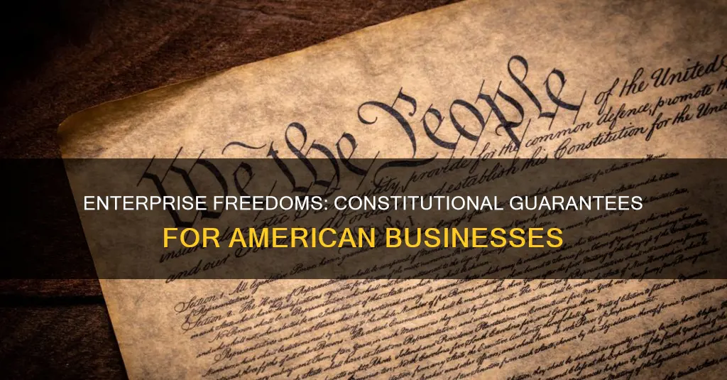 what constitutional guarantees underlie the american enterprise system