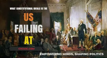 US Constitution: Failing Ideals, Failing the People