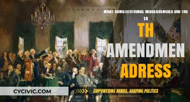 Amendment Legacy: Addressing Constitutional Inadequacies