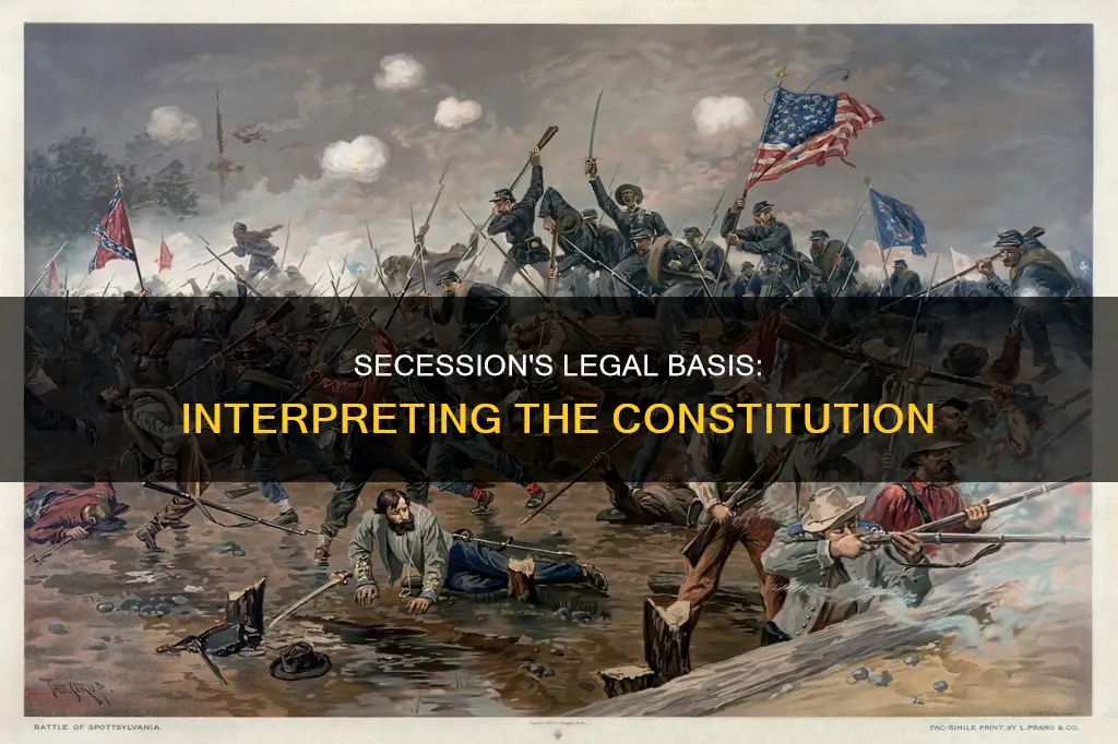 what constitutional interpretation was the concept of secession based
