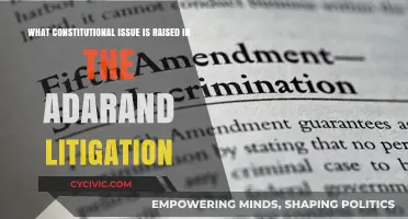 Adarand Litigation: Constitutional Challenge and Racial Discrimination
