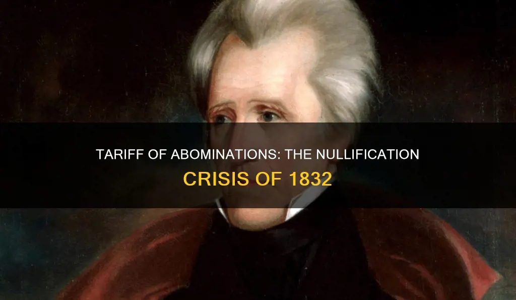 what constitutional issue led to the nullification crisis of 1832