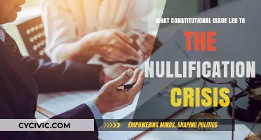 The Nullification Crisis: States' Rights and the Constitution
