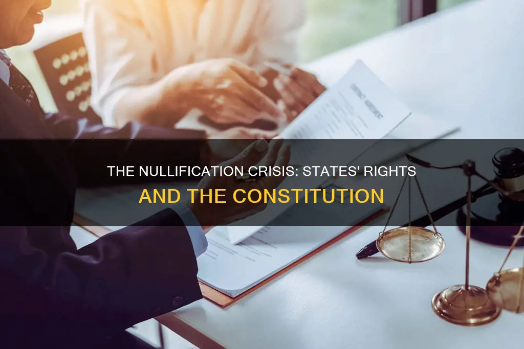 what constitutional issue led to the nullification crisis