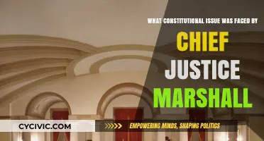 Chief Justice Marshall's Constitutional Challenge