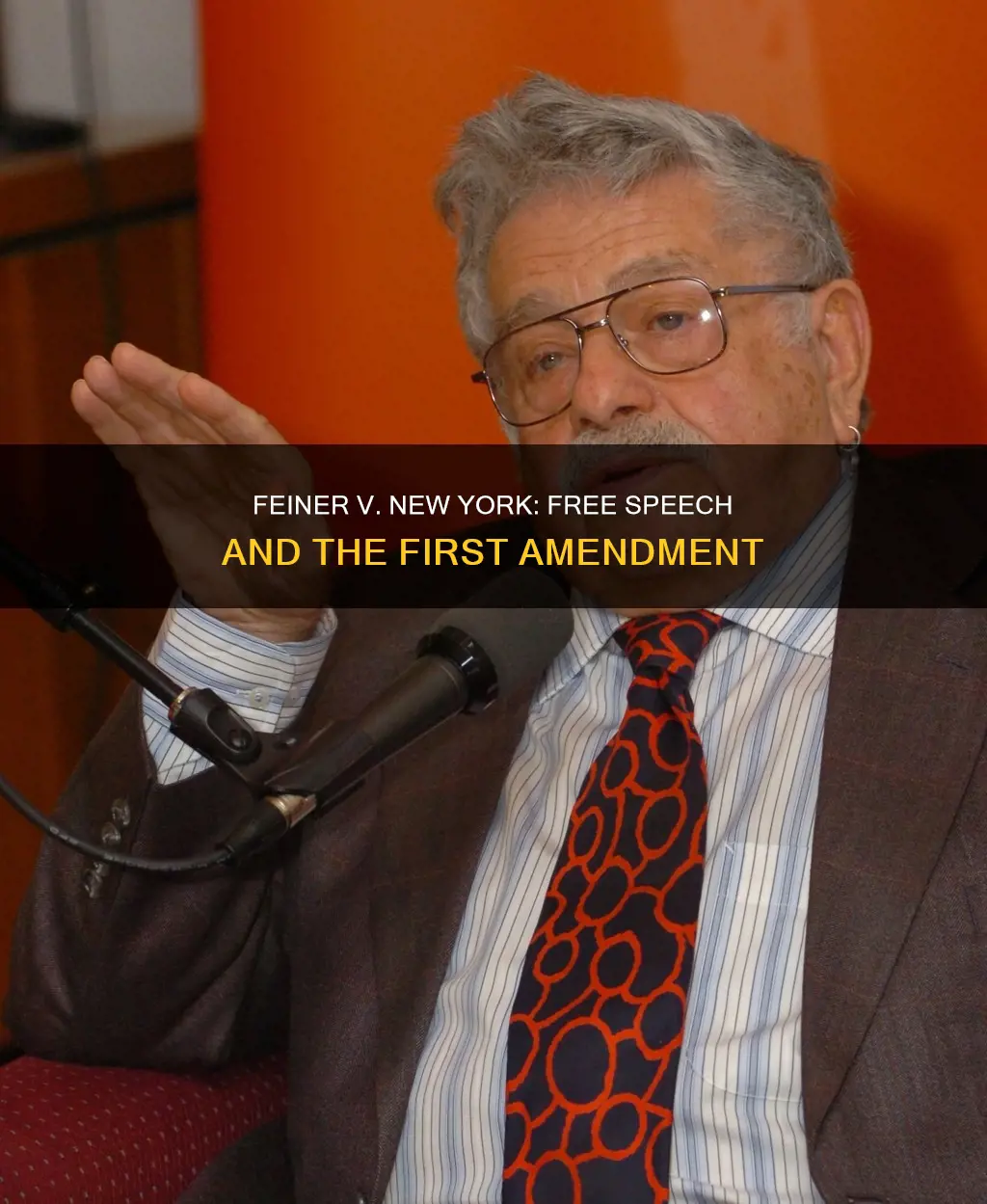 what constitutional issue was involved in feiner v new york