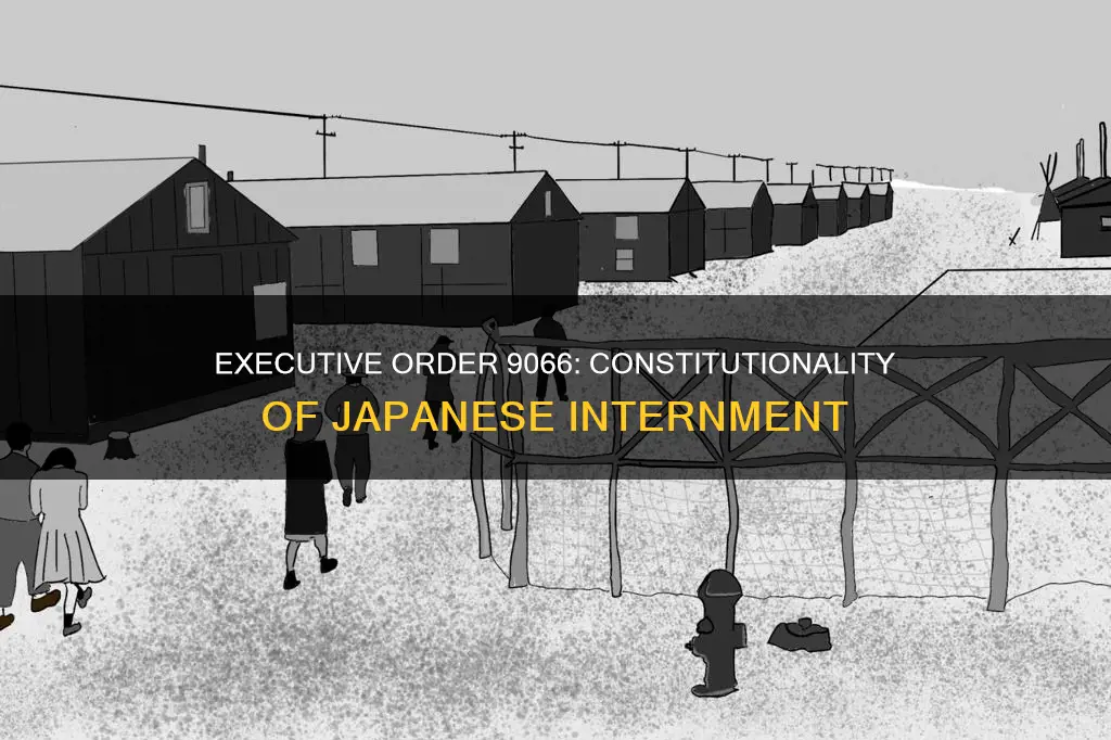 what constitutional issue was raised by executive order 9066
