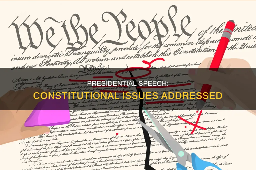 what constitutional issues are addressed in his speech