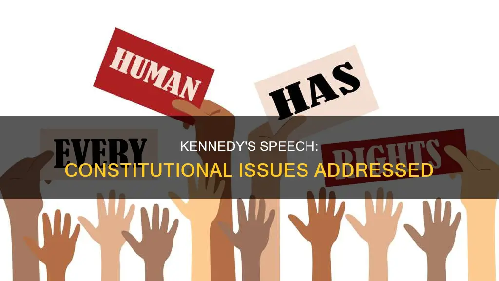 what constitutional issues are addressed in kennedy