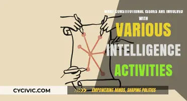 Intelligence Activities: Constitutional Challenges and Concerns